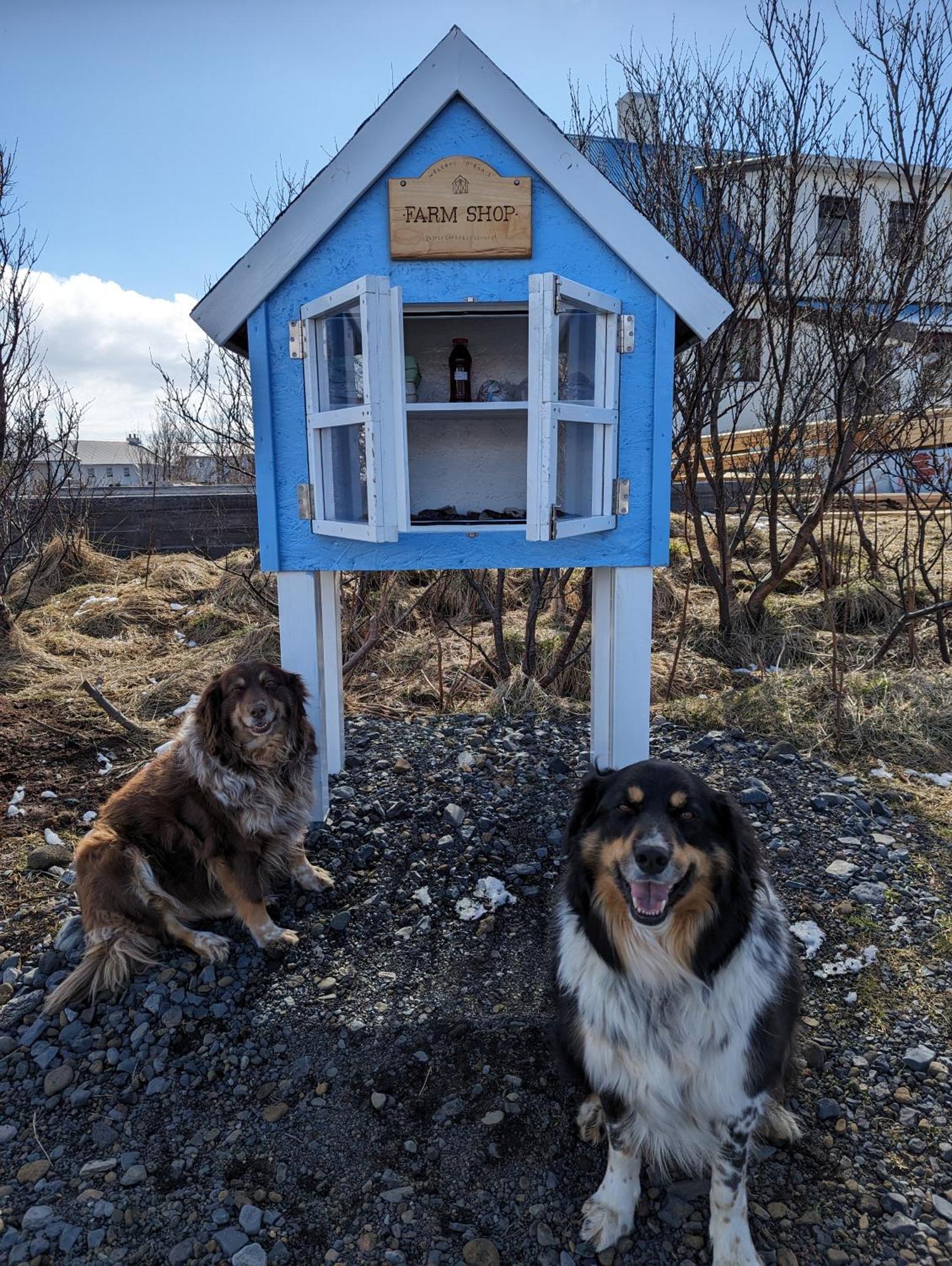 Vik Hostel Exterior photo